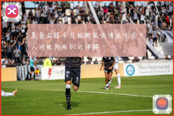 夏普右膝半月板撕裂伤情发生在个人训练期间队记详解