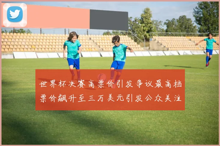 世界杯决赛高票价引发争议最高档票价飙升至三万美元引发公众关注