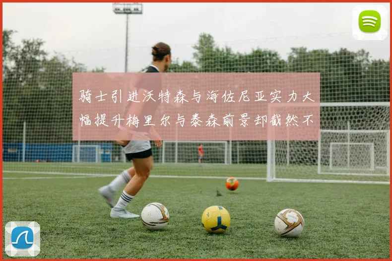 骑士引进沃特森与海佐尼亚实力大幅提升梅里尔与泰森前景却截然不同