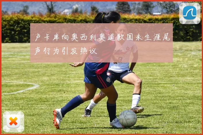 卢卡库向奥西利奥道歉国米生涯尾声行为引发热议